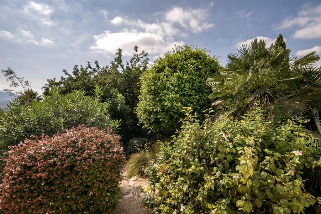 The garden is huge : 1.000 m² with bushes, trees and a multitude of ornamental plants.